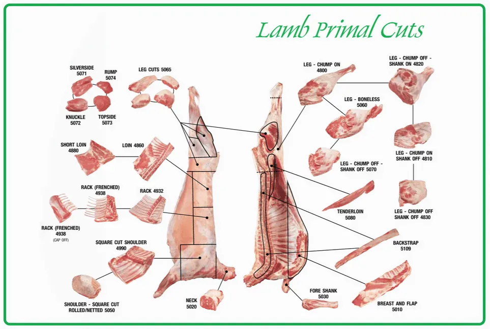 Sheep Meat
